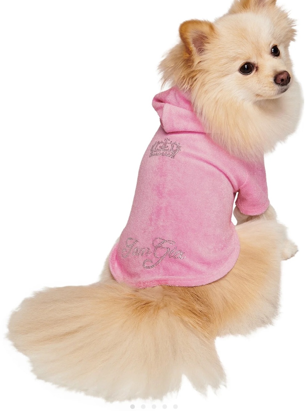 IAMGIA HONEY DOG/CAT HOODIE IN PINK
